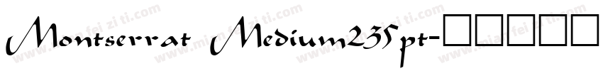 Montserrat Medium235pt字体转换